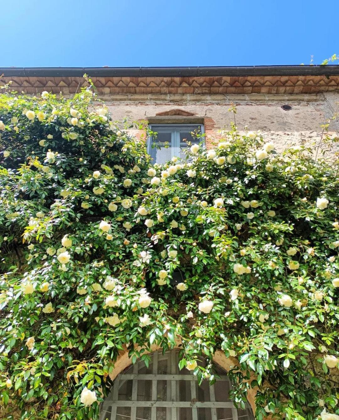 Il Poggio Di Teo Villa Manciano Exterior photo
