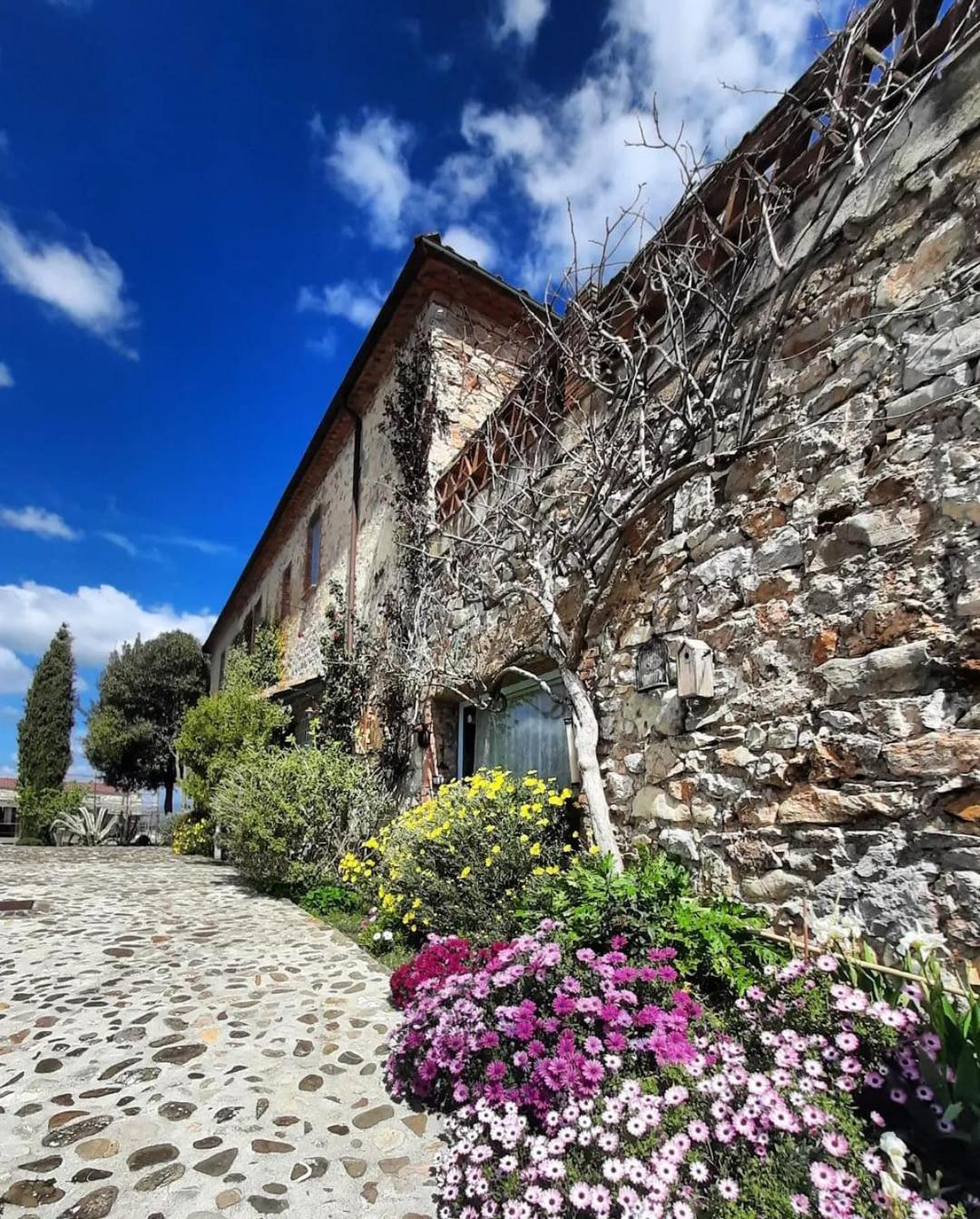 Il Poggio Di Teo Villa Manciano Exterior photo